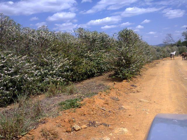 Fazenda, Zona Rural, 4 Quartos, 0 Vaga, 1 Suíte