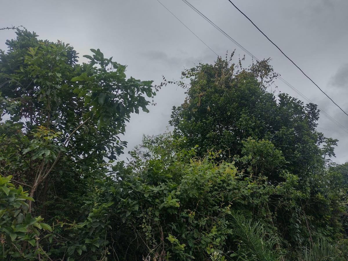 Lote, Tupã, 0 Quarto, 0 Vaga