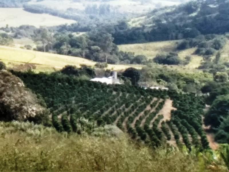 Fazenda, Zona Rural, 0 Quarto, 0 Vaga
