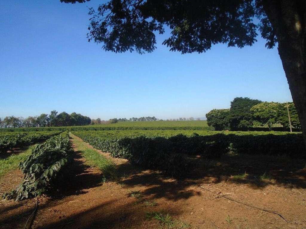 Fazenda, Zona Rural, 4 Quartos, 0 Vaga