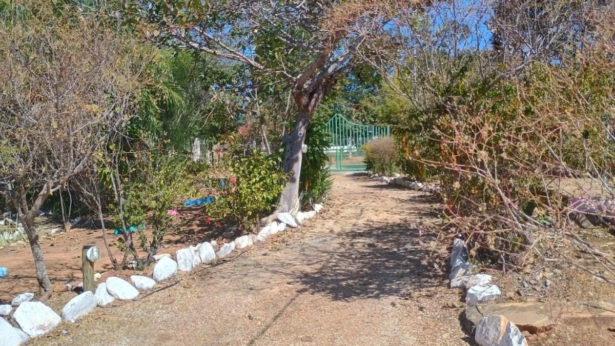 Fazenda, Campo Alegre, 6 Quartos, 0 Vaga