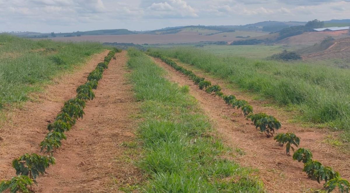 Fazenda, Zona Rural, 0 Quarto, 0 Vaga