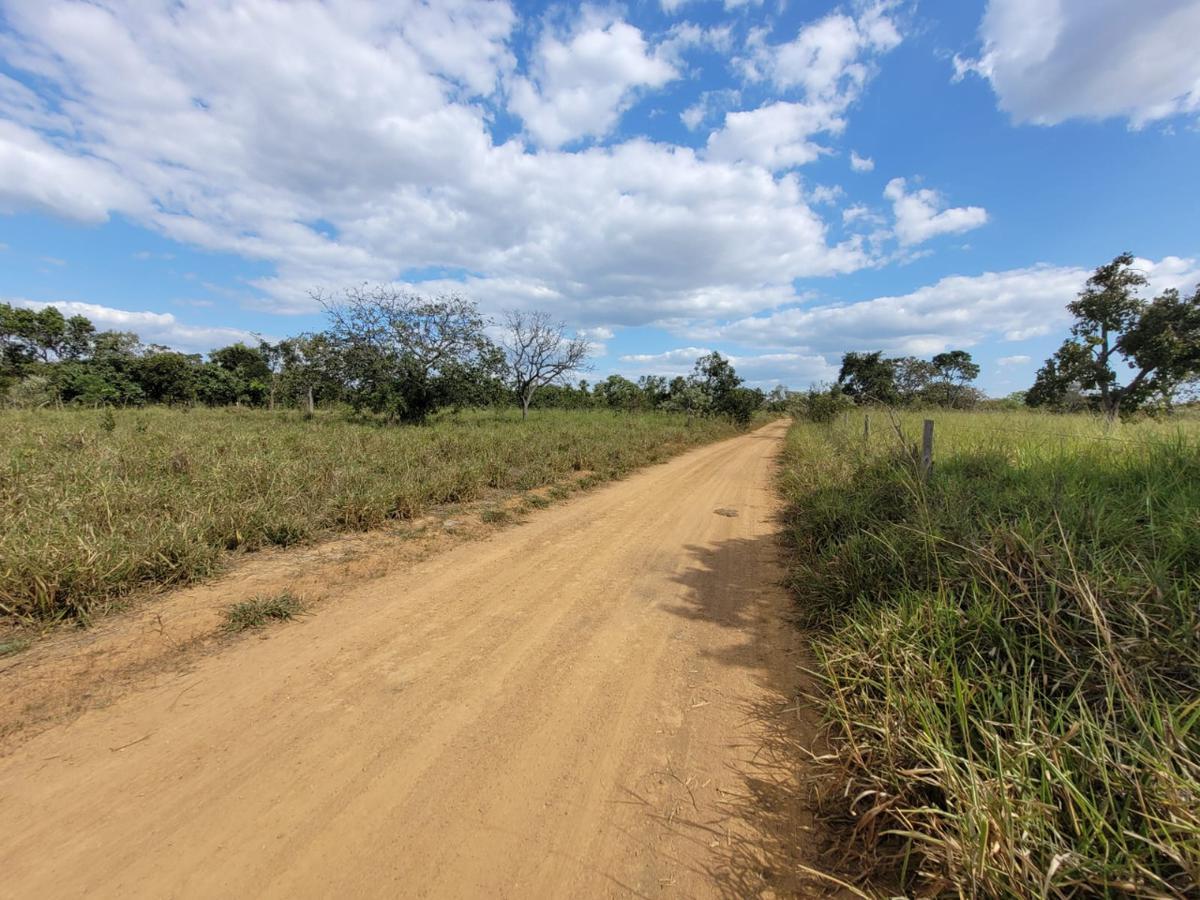 Fazenda, Centro, 0 Quarto, 0 Vaga, 1 Suíte