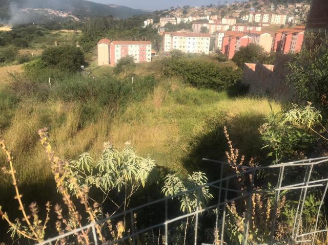 Lote, Jardim Vitória, 0 Quarto, 0 Vaga