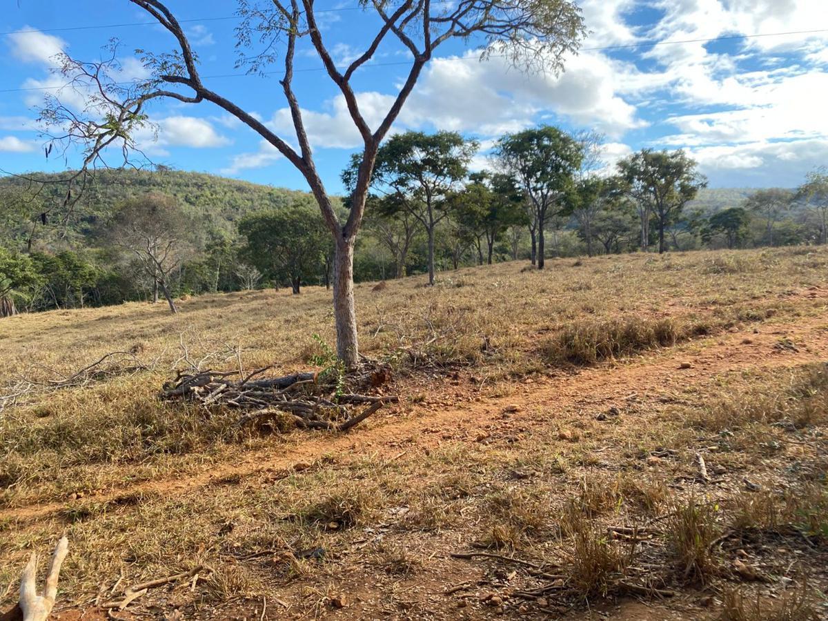 Lote, Centro, 0 Quarto, 0 Vaga