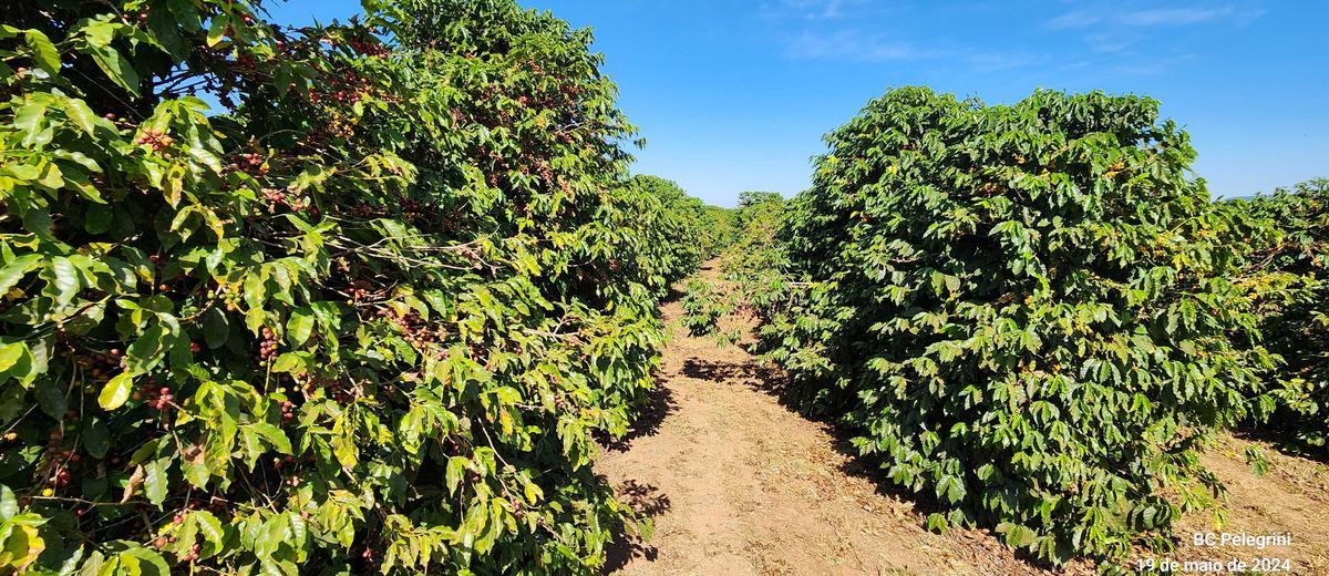 Fazenda, Zona Rural, 1 Quarto, 0 Vaga