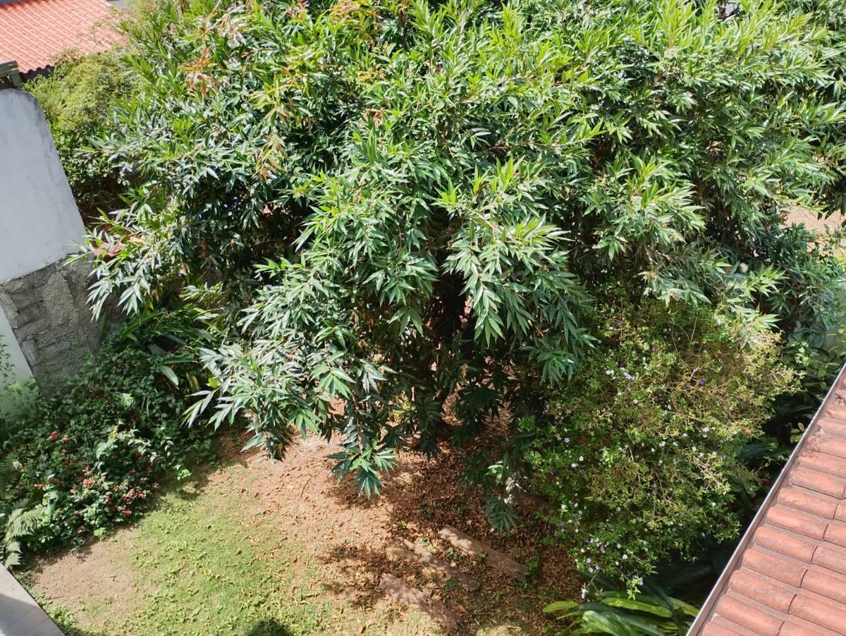 Casa, Céu Azul, 5 Quartos, 3 Vagas, 1 Suíte