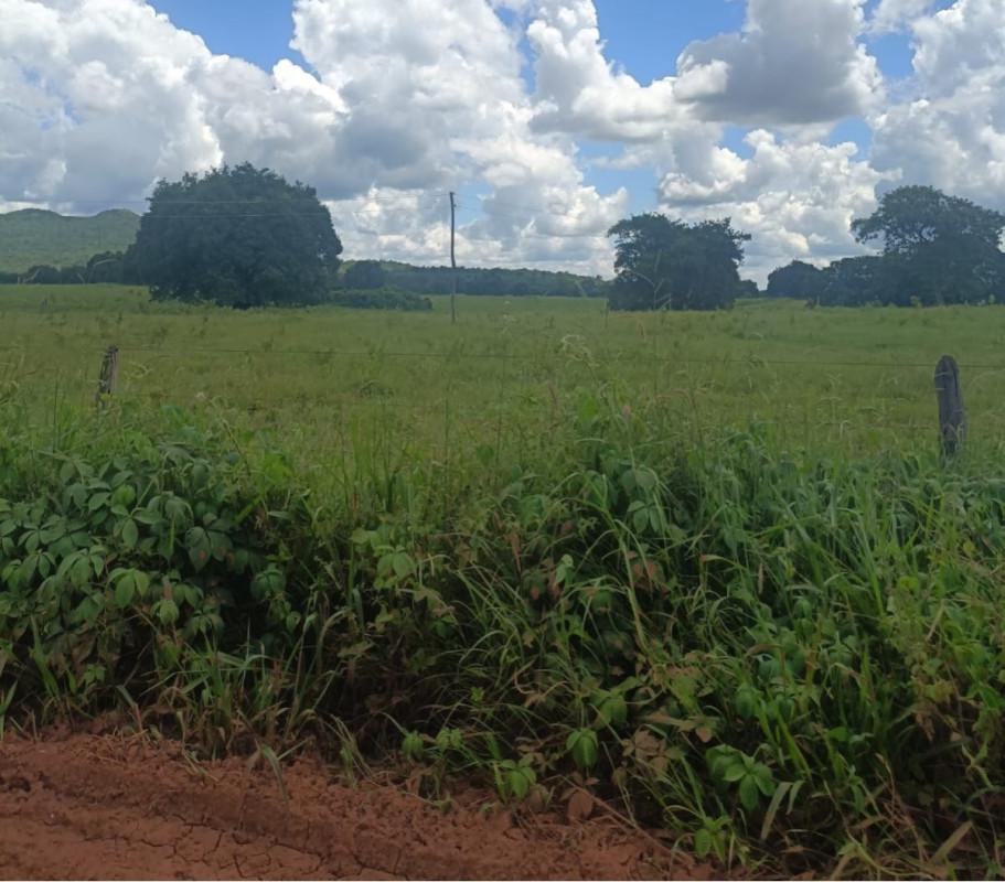 Fazenda, Zona Rural, 0 Quarto, 0 Vaga