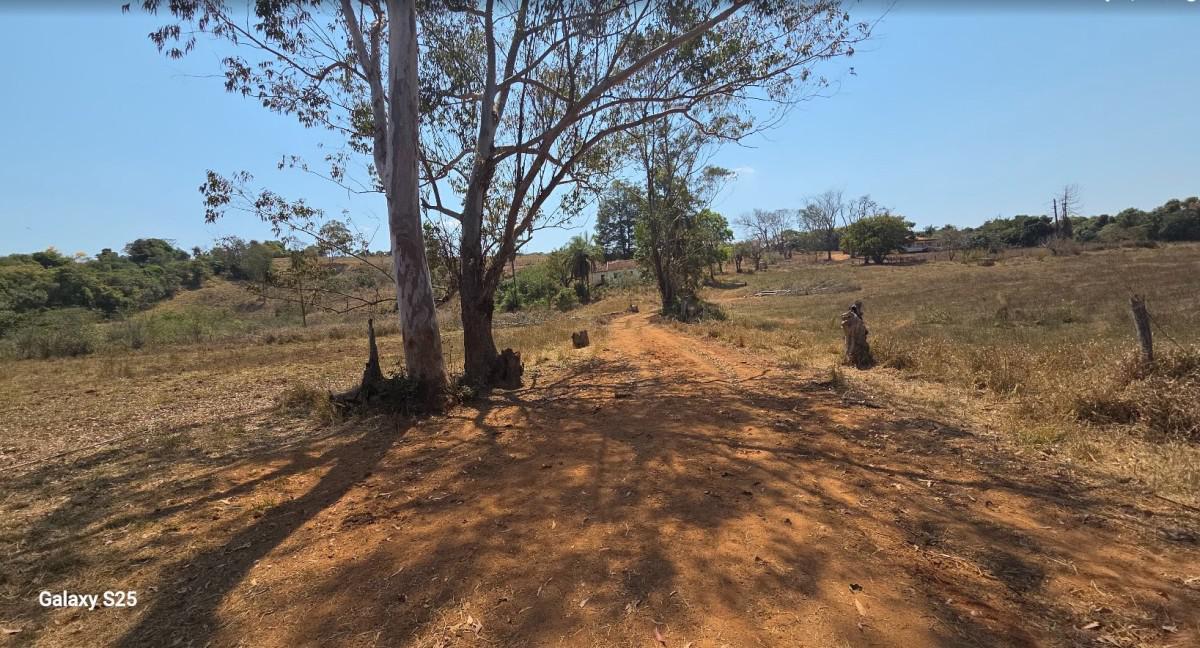 Fazenda, Centro, 1 Quarto, 21 Vagas, 1 Suíte