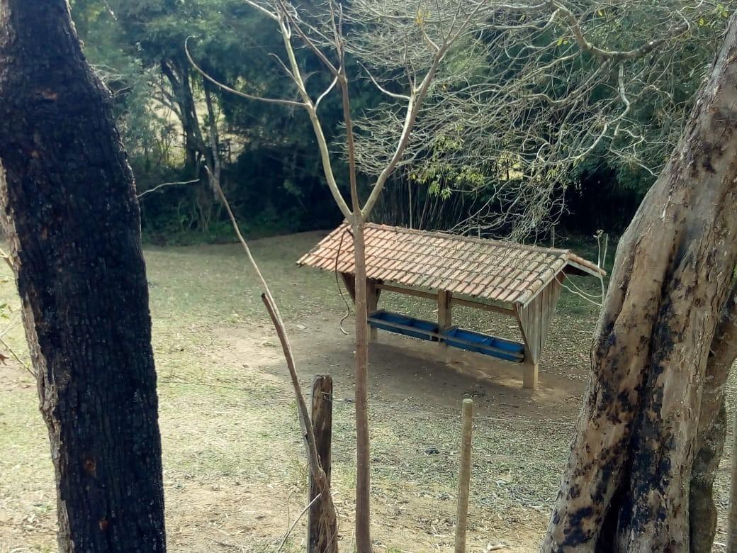 Fazenda, Centro, 1 Quarto, 1 Vaga, 1 Suíte