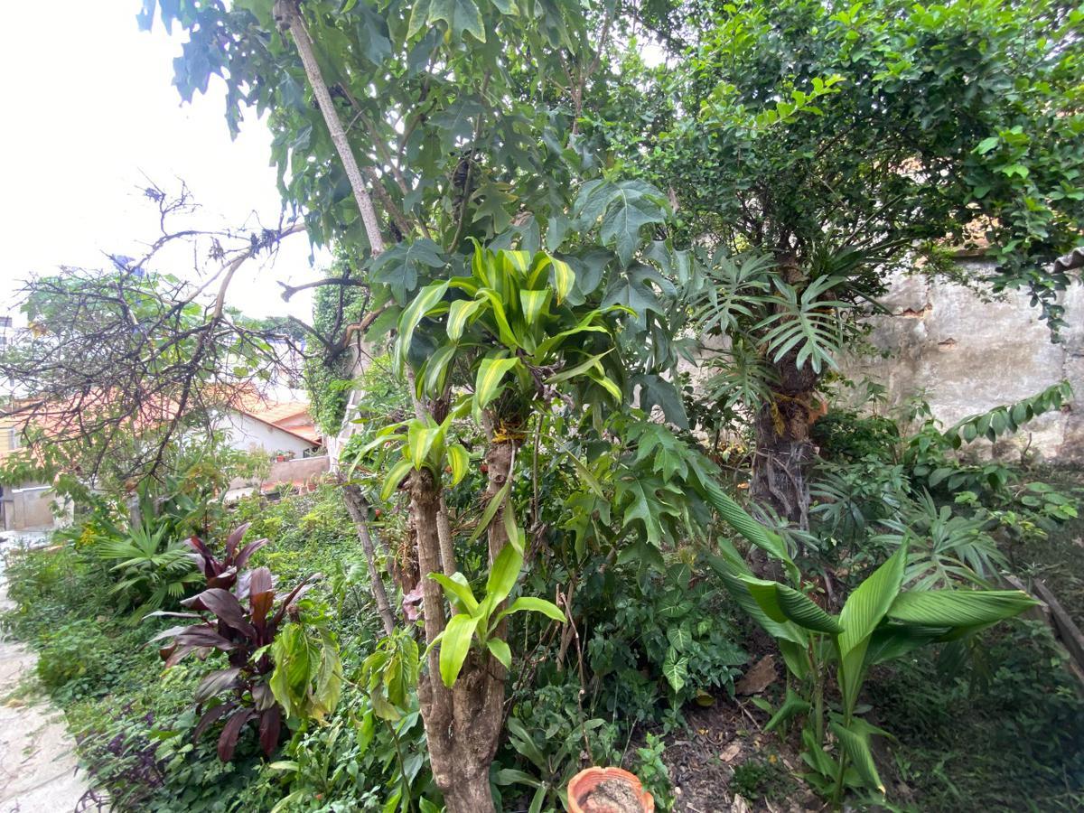 Casa, Sagrada Família, 3 Quartos, 2 Vagas