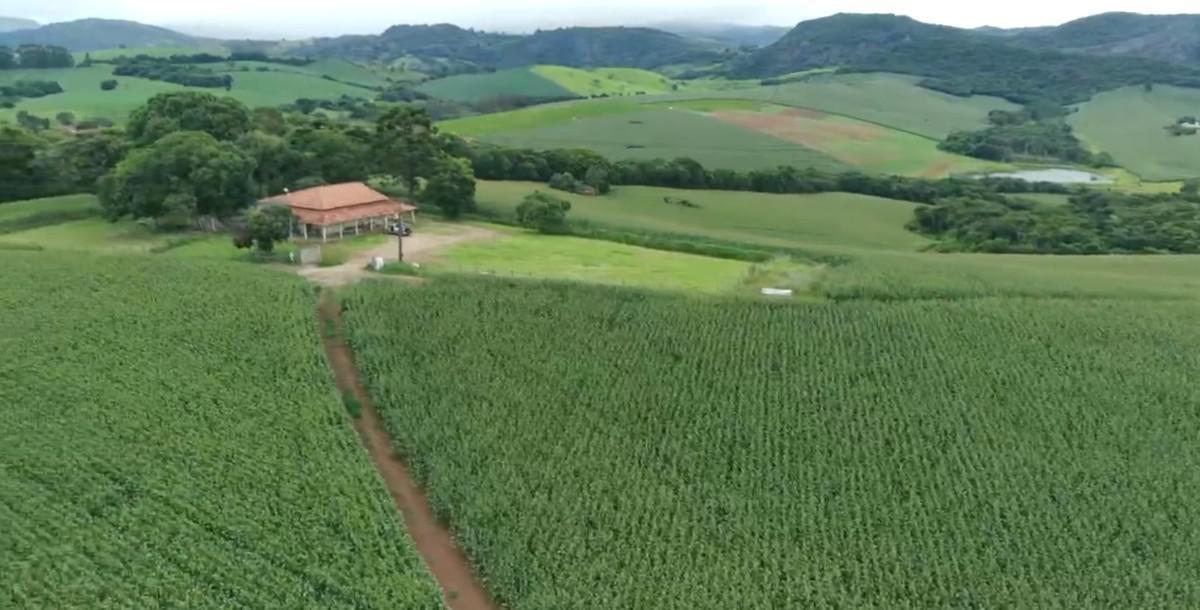 Fazenda, Zona Rural, 0 Quarto, 0 Vaga