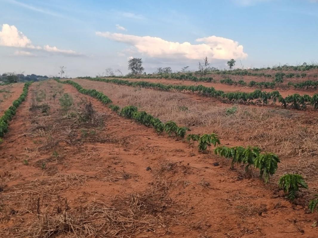 Fazenda, Zona Rural, 0 Quarto, 0 Vaga