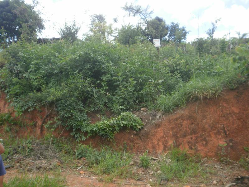 Lote, Icaivera, 0 Quarto, 0 Vaga