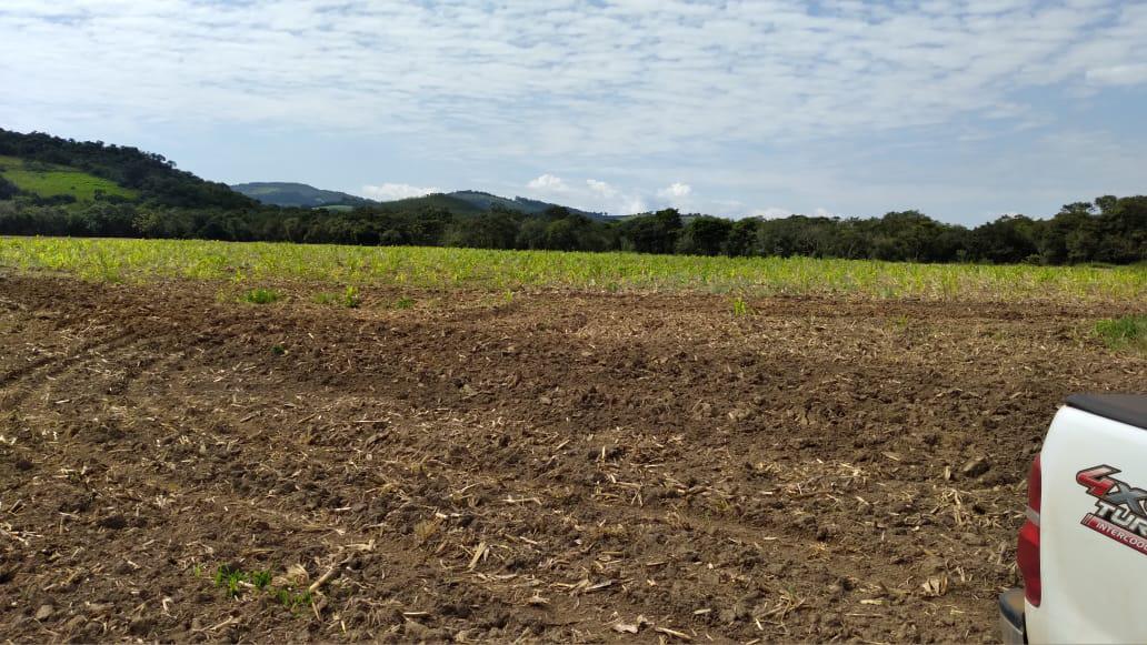 Fazenda, Dos Campos, 3 Quartos, 5 Vagas
