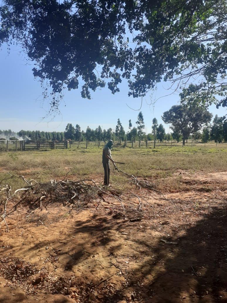 Fazenda, Centro