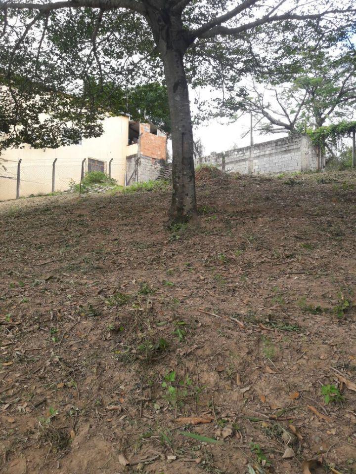 Lote, Salomé, 0 Quarto, 0 Vaga