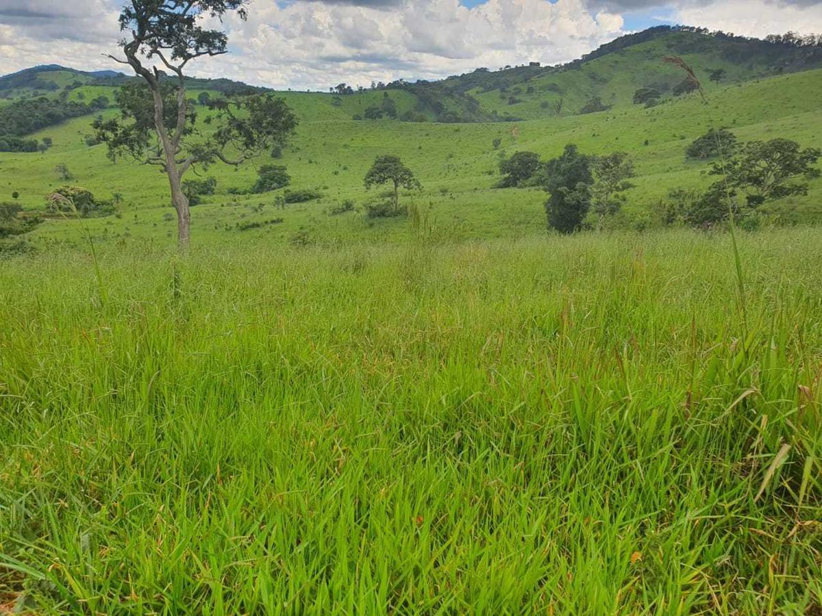 Fazenda, Zona Rural, 4 Quartos, 0 Vaga