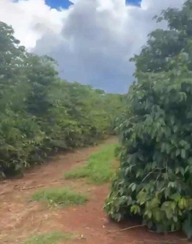 Fazenda, Zona Rural, 0 Quarto, 0 Vaga