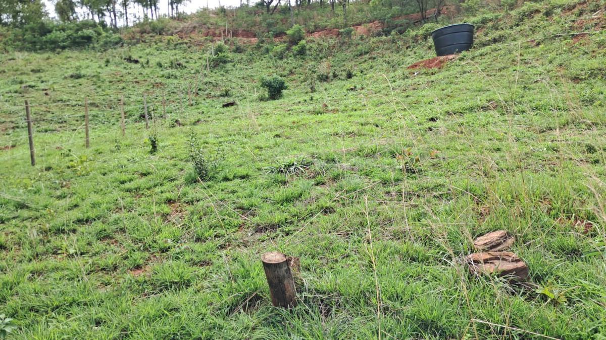 Fazenda, Ravena, 4 Quartos, 10 Vagas, 2 Suítes