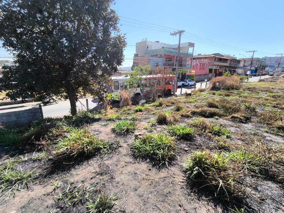 Lote, Pedra Azul, 0 Quarto, 0 Vaga