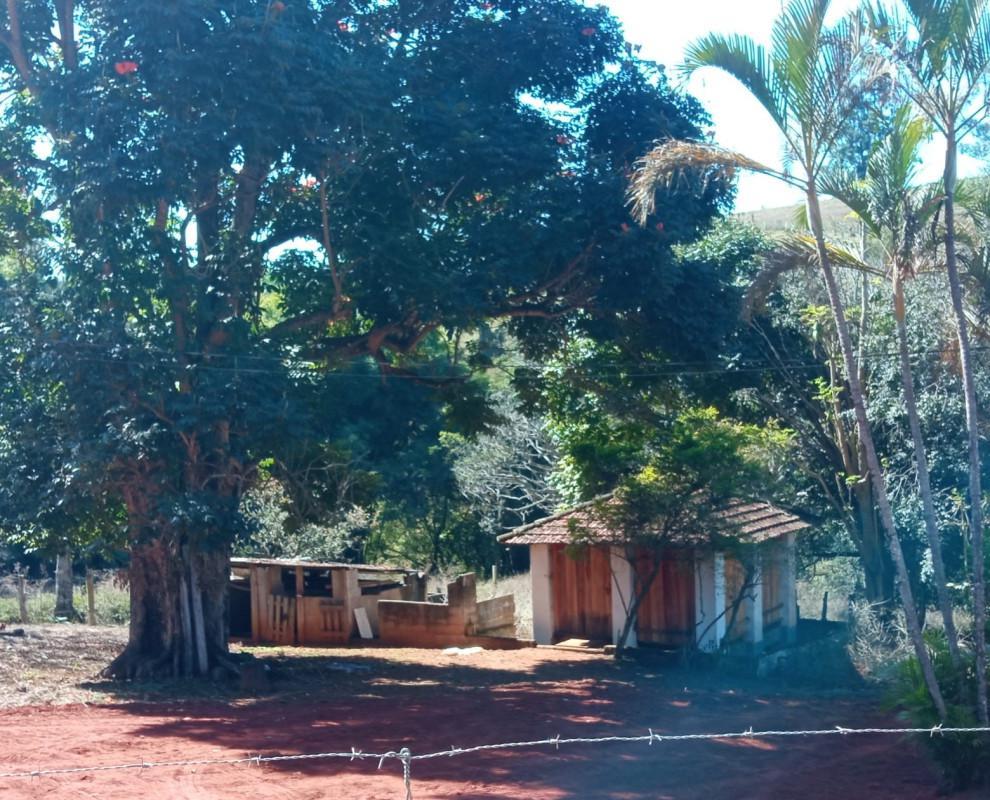 Fazenda, Zona Rural, 0 Quarto, 0 Vaga