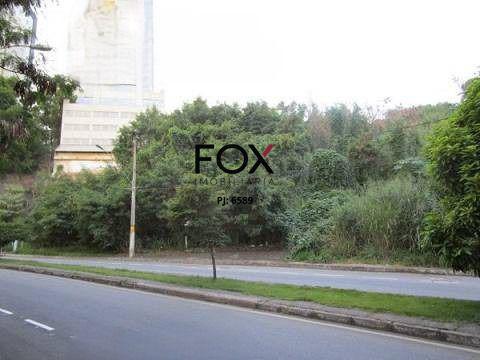 Lote, Estoril, 0 Quarto, 0 Vaga