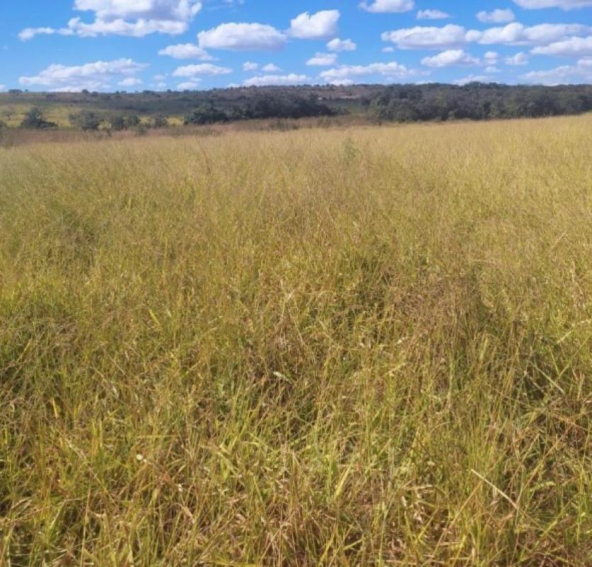 Fazenda, Zona Rural, 0 Quarto, 0 Vaga