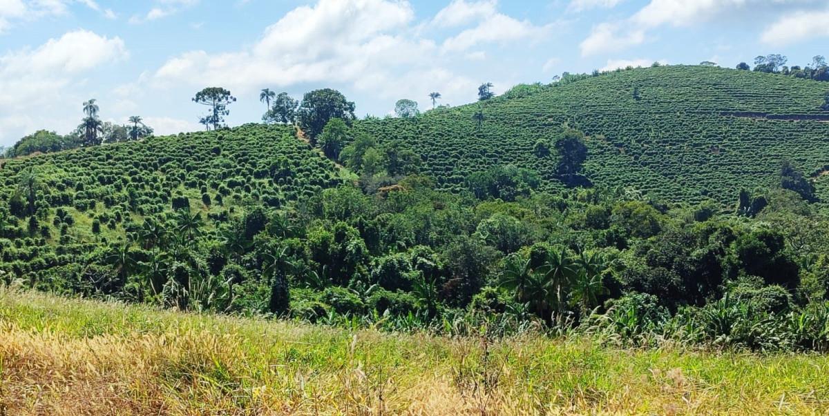 Fazenda, Zona Rural, 0 Quarto, 0 Vaga