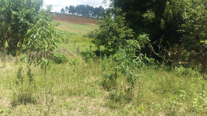 Fazenda, Guedes, 0 Quarto, 0 Vaga