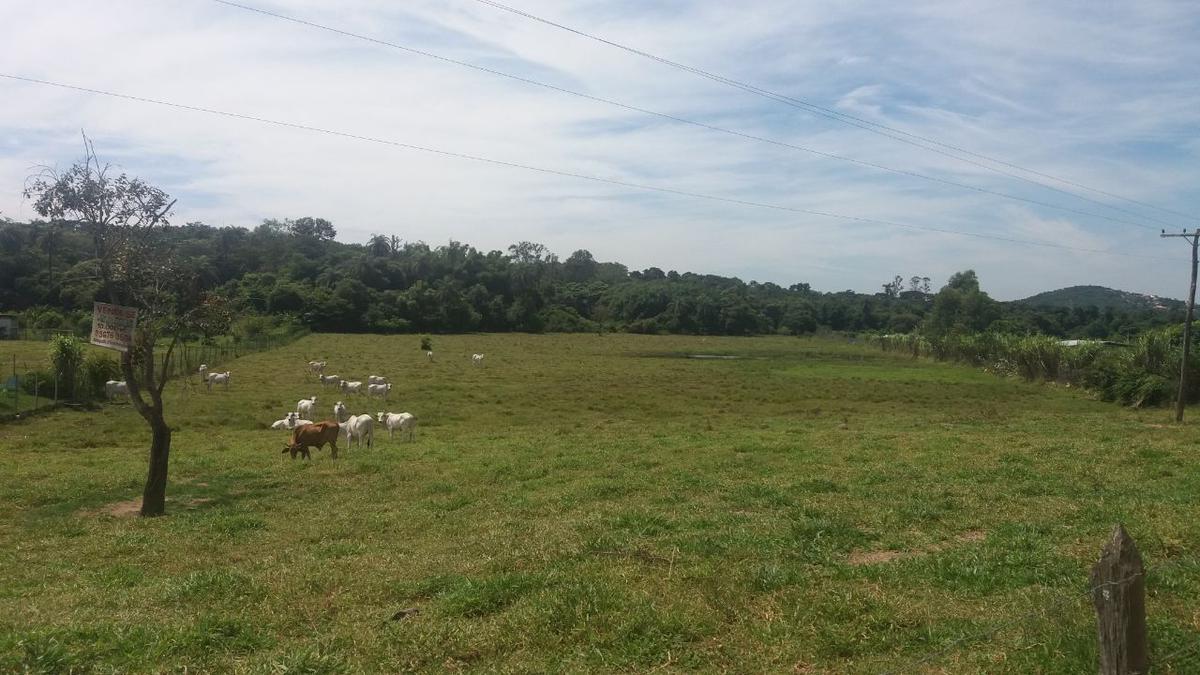 Lote, Saraiva, 0 Quarto, 0 Vaga