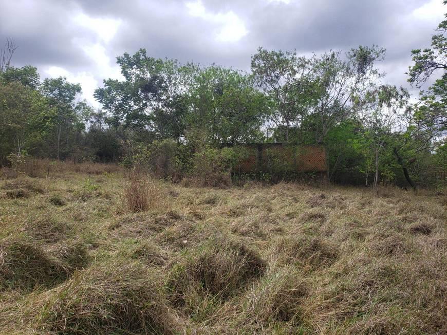 Fazenda, Centro, 0 Quarto, 0 Vaga