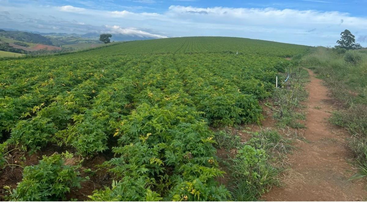 Fazenda, Zona Rural, 0 Quarto, 0 Vaga