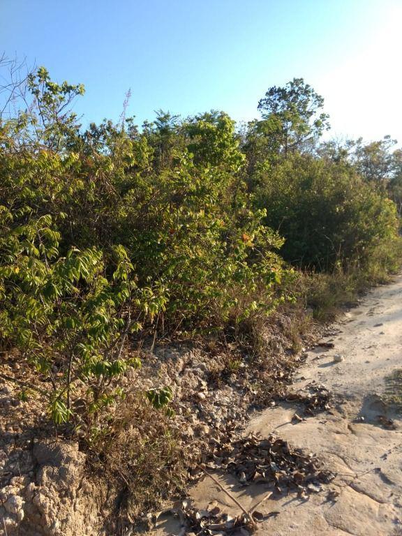 Lote, Ravena, 0 Quarto, 0 Vaga