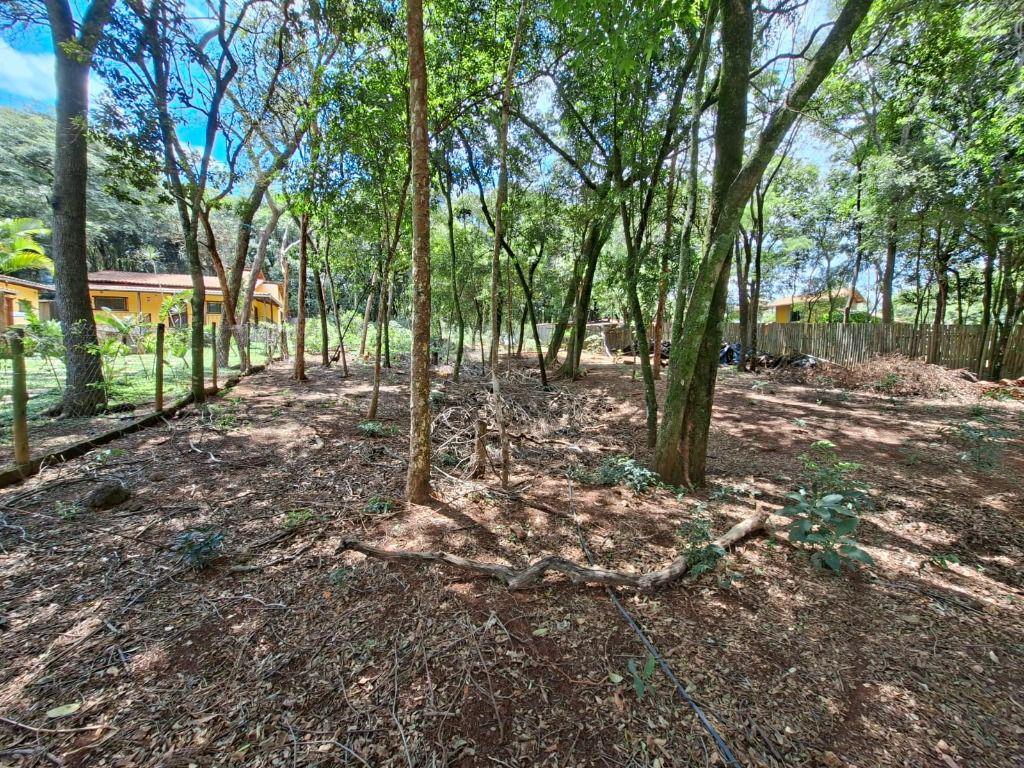 Lote, Casa Branca, 0 Quarto, 0 Vaga