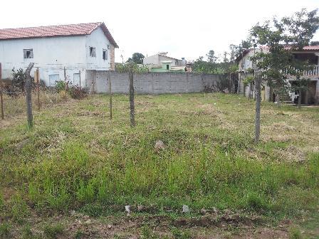 Lote, Tijuca