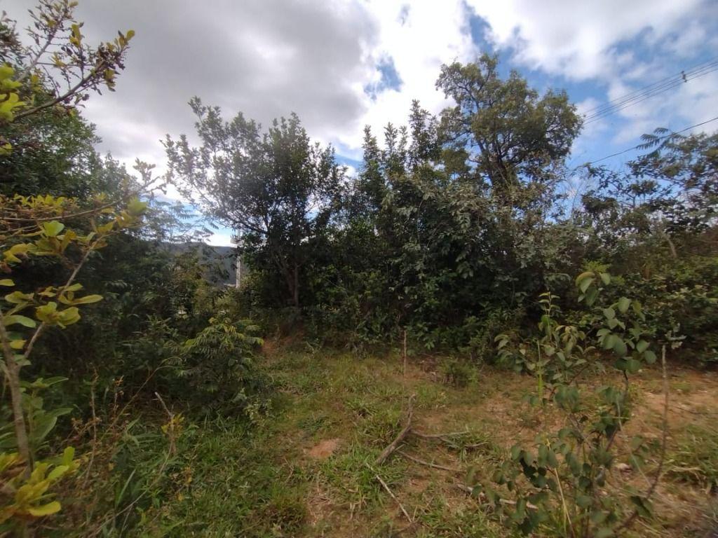 Lote, Paciência, 0 Quarto, 0 Vaga