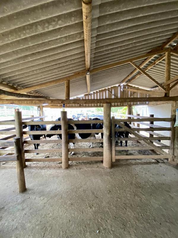 Fazenda, 4 Quartos, 1 Suíte