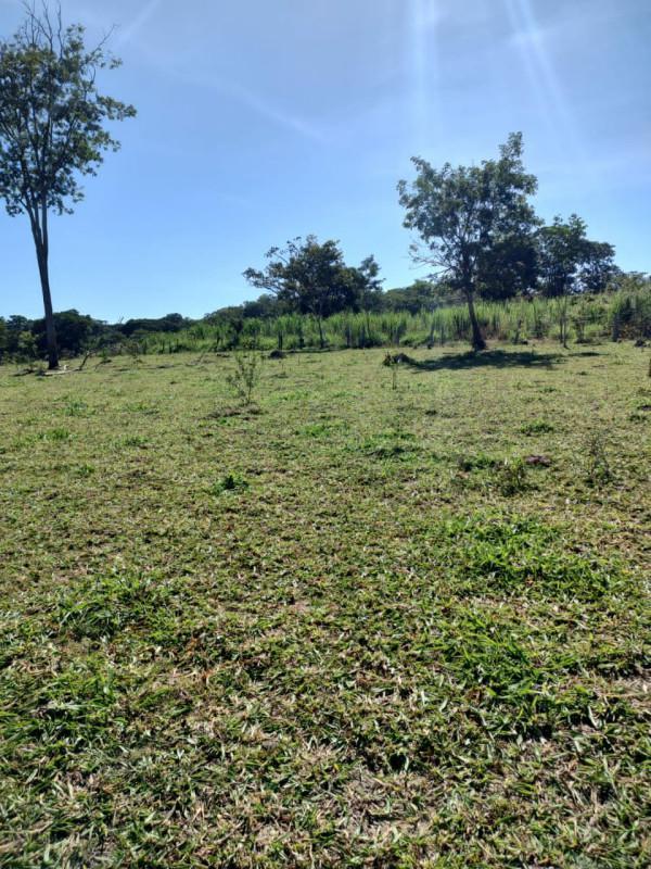 Fazenda, Centro, 0 Quarto, 0 Vaga