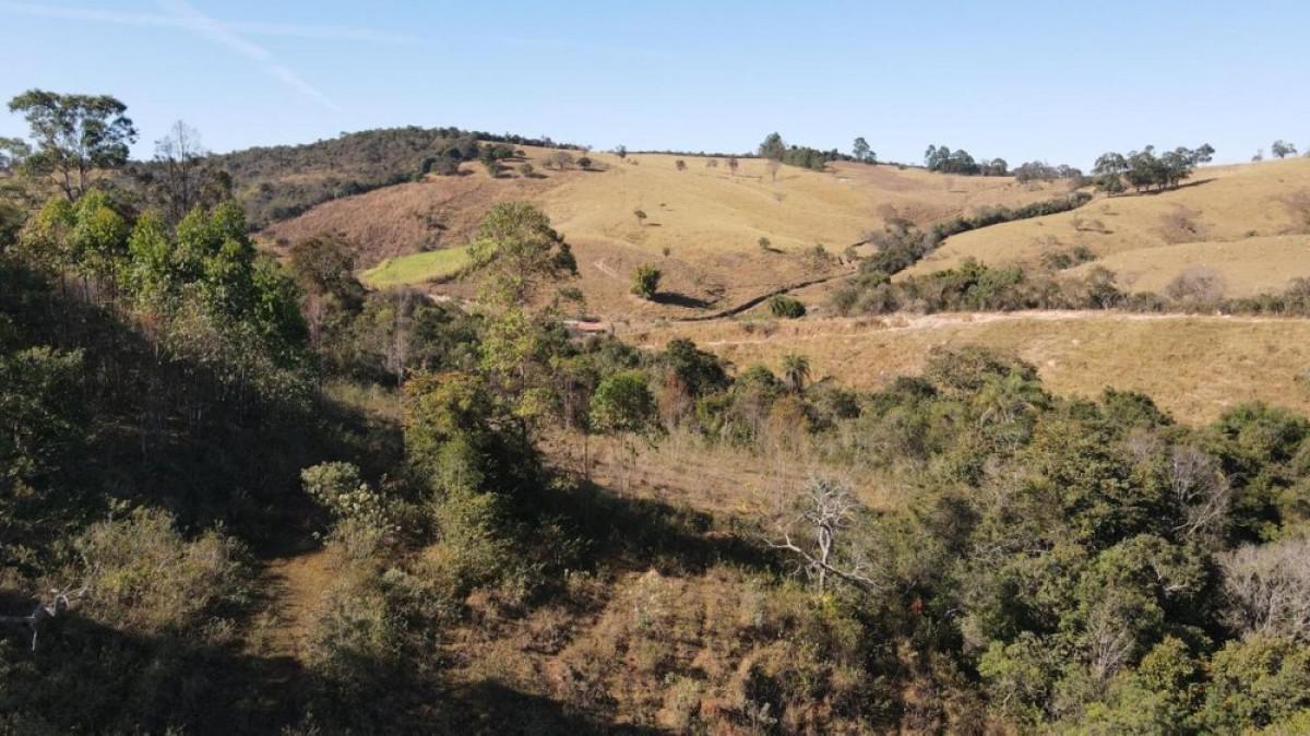 Fazenda, Centro, 3 Quartos, 0 Vaga