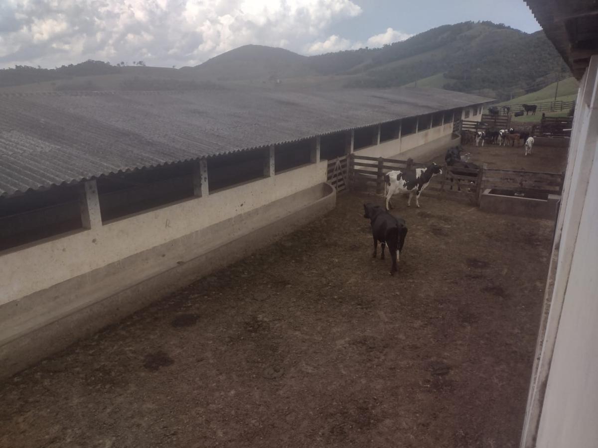 Fazenda, Centro, 3 Quartos, 1 Vaga