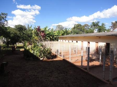 Lote, Lua Nova da Pampulha