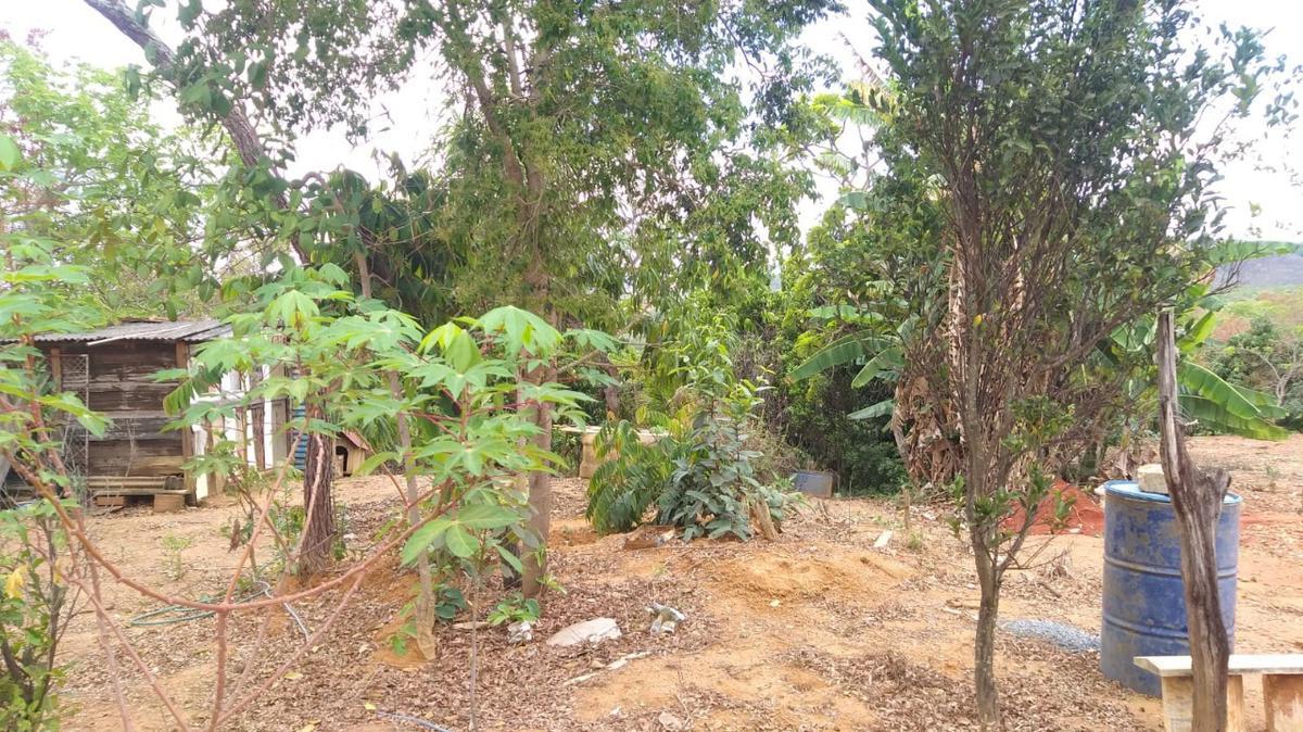 Lote, Palmital, 0 Quarto, 0 Vaga