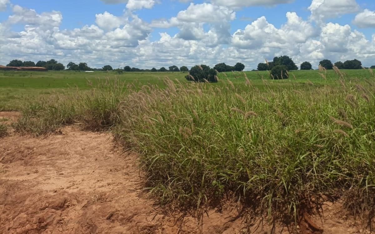 Fazenda, Zona Rural, 0 Quarto, 0 Vaga