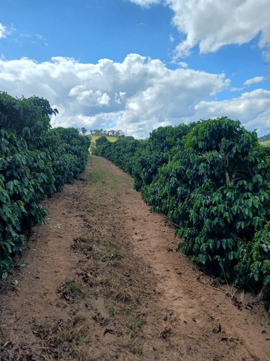 Fazenda, Zona Rural, 0 Quarto, 0 Vaga