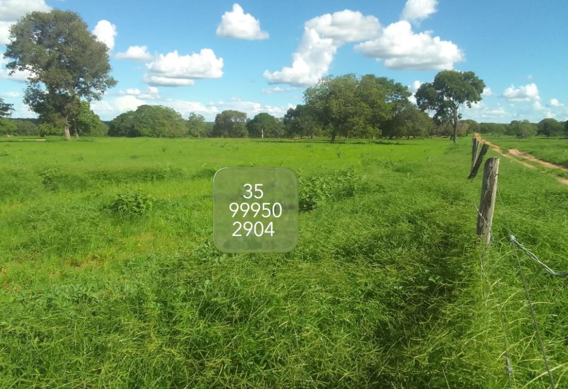 Fazenda, Zona Rural, 0 Quarto, 0 Vaga
