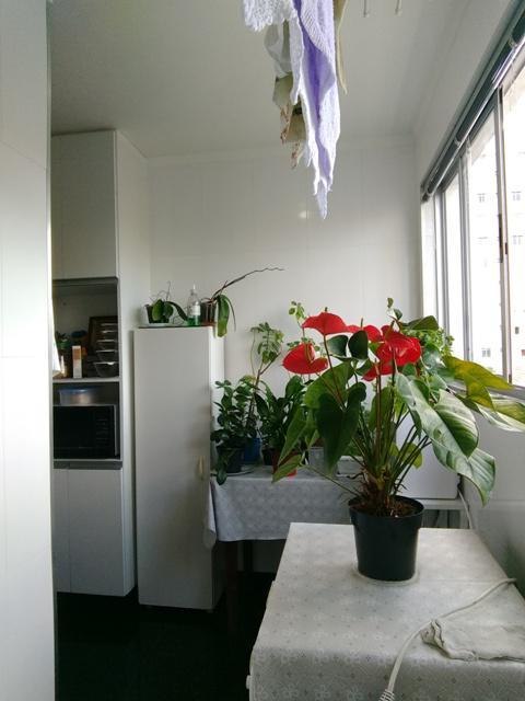 Apartamento, Graça, 2 Quartos, 1 Vaga
