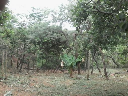 Lote, Centro, 0 Quarto, 0 Vaga
