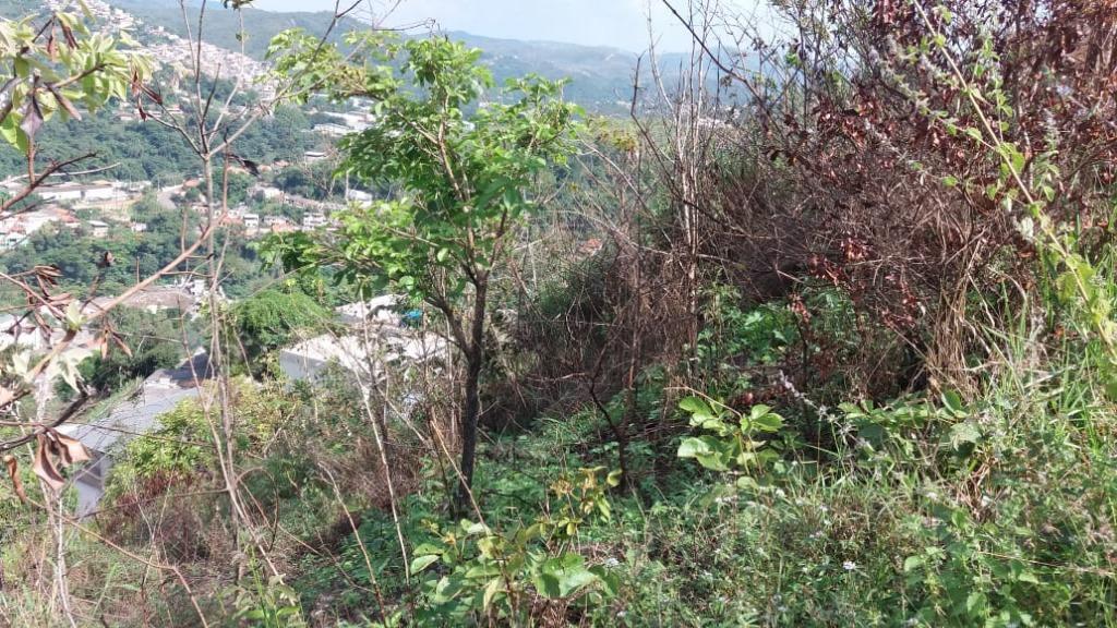 Lote, Morro São Francisco, 0 Quarto, 0 Vaga