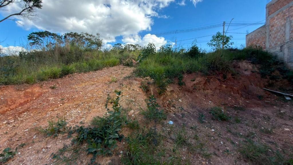 Lote, Paciência, 0 Quarto, 0 Vaga